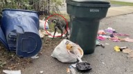 Stray Dog Found In Shocking Condition In Trash And Can't Stop Hugging Missouri Rescuers
