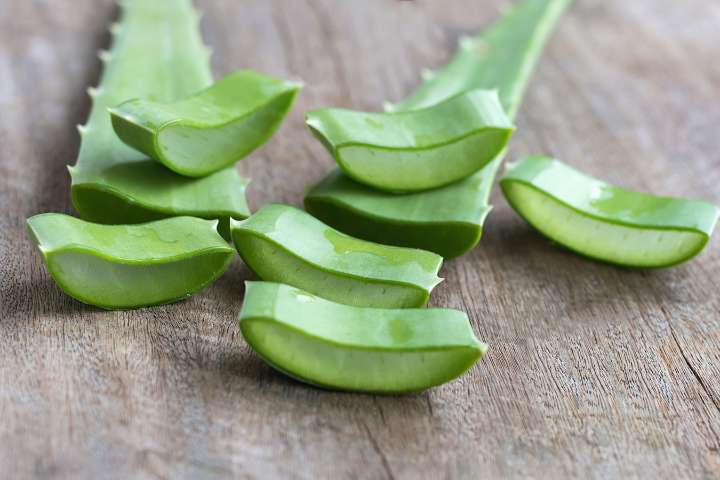 Aloe vera: conoce sus beneficios y cómo hacer una elección segura