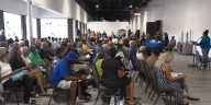 Dozens voice frustrations with Knoxville’s future Chilhowee Park plans