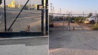 Small Dog Abandoned In Coyote Territory Leaves California Rescuers In Shock