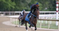 Magnitude arriving late on the scene, but is a serious Travers contender