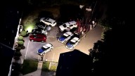 1 mauled in Dorchester dog attack, Boston police say