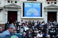 Diputados rechazó el veto a la Ley de emergencia en Discapacidad