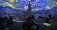 Tickets are under £20 for 'captivating' Van Gogh immersive experience