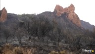 El CSIC valora los daños causados por el fuego en Las Médulas para recuperar este espacio natural