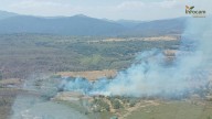 Luchan contra un incendio forestal declarado en Castilla