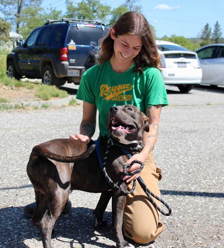 Nevada County and Sammie’s Friends to Launch New Hybrid Model for Managing Animal Shelter