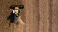 Menores rindes en Estados Unidos y márgenes récord en Argentina reconfiguran el mercado de granos