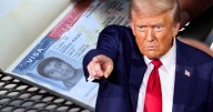 Se despiden todas estas visas: Estados Unidos las cancelará y quienes las tengan deberán volver a hacer el trámite