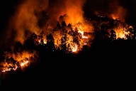 España se acerca a las 400 mil hectáreas arrasadas por el fuego en lo que va de año