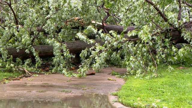City officials open storm debris drop off sites