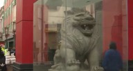 Cercado de Lima: Leones del Barrio Chino ahora están protegidos con vidrio tras constantes actos de vandalismo | PNP 
