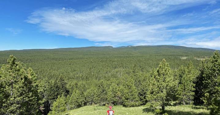 108,000 in BLM acres in Montana with potential for disposal identified in onX map
