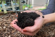 Gardening can cultivate better mental well