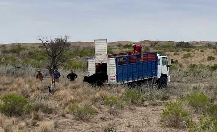 Productor denuncia campos abandonados por falta de agua