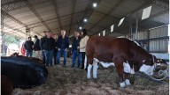 Feliciano: Rogelio Frigerio anunció créditos para productores y mejoras viales en la Exposición Rural