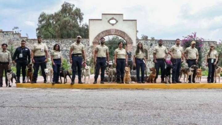 Senasica suma 14 binomios caninos para prevenir plagas en la frontera de México y Centroamérica