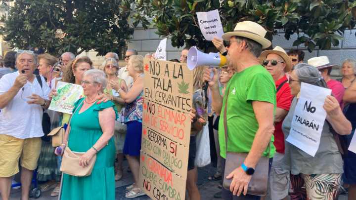"Los árboles no se tocan": Vecinos de Cervantes piden que se paralicen las obras