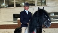 Surprise grading arranged for prolific stallion and his owner