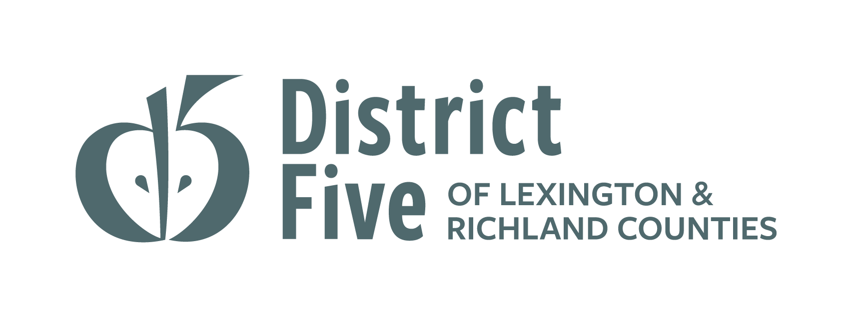 Lexington-Richland School District Five former students information leaked online