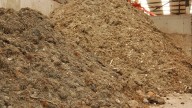 Málaga transforma el alga asiática en abono para las zonas verdes