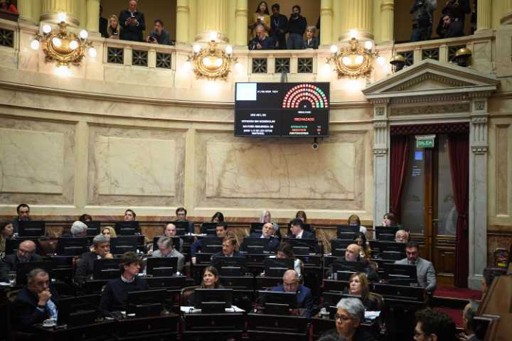 El Senado tratará la semana que viene la ley vetada por Milei sobre prestaciones en discapacidad