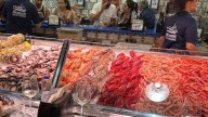Ronda de bares: Nicomedes en Tenerife, mar en barra y bulla canaria