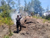 Policía Forestal deshabilita cinco hornos ilegales de carbonización de madera en San Nicolás de los Ranchos