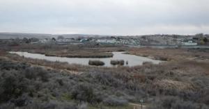 Amon Creek project near McNary Dam to improve fish habitats and water quality