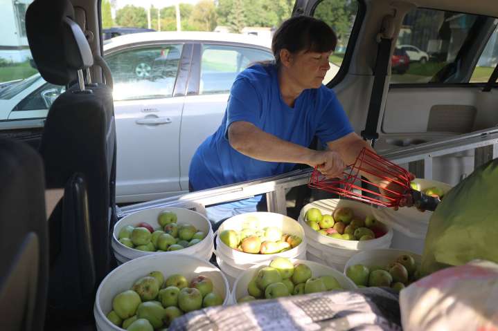 Fruit Share Brandon just keeps on pickin’