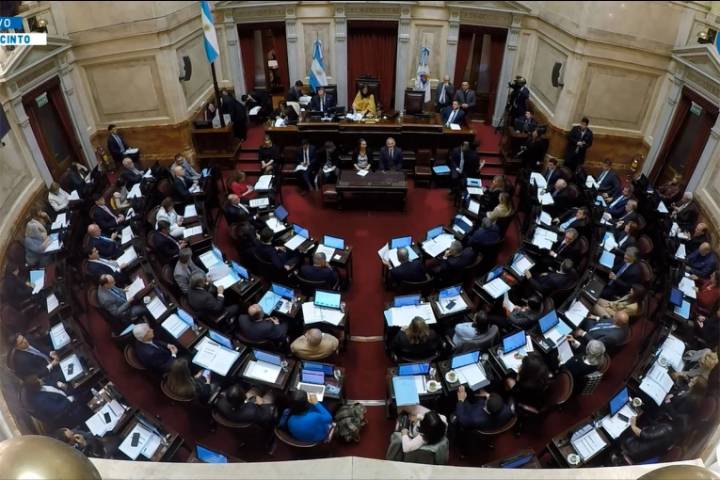 Senado debate emergencia pediátrica, financiamiento universitario y vetos de Milei