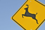 Motorcyclist Hit, Killed on I-90 in Wyoming After Hitting Deer