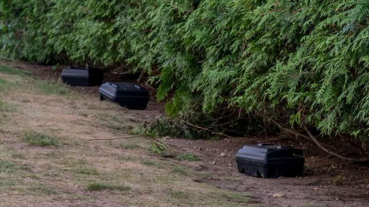 Sanitation measures tackle Huntington rat infestation issue