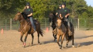 Reining Chaos 4-H Drill Team Focused on Chemistry for State Competition
