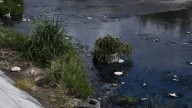 El daño ambiental del dren de Las Mujeres