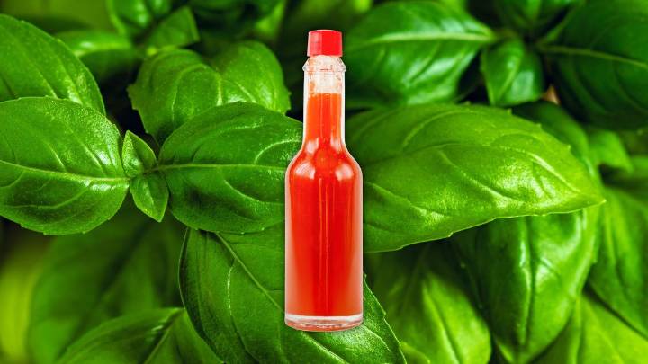 Por qué hay que mezclar vinagre y albahaca en un frasco: ¿qué significa?