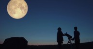 Viewing of Perseid meteor shower will be slightly affected by moon