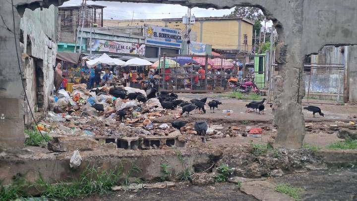 Consumidores hacen compras entre basura y zamuros en el Mercado Municipal de San Félix