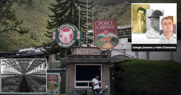 Criando cerdos para la familia, don Eulogio Echavarría le dio vida al emporio Antioqueña de Porcinos