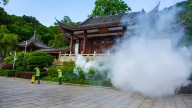 China has declared war on the chikungunya virus. How much of a threat is it?