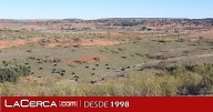 El Gobierno regional explica que el procedimiento de deslinde de vías pecuarias nada tiene que ver con un procedimiento expropiatorio