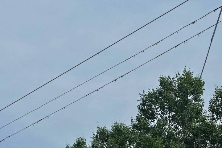 River Valley resident concerned about spotty cell and phone service