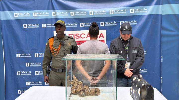 Lo pillaron con una boa constrictor y un conejo para darle de comer en Castilla