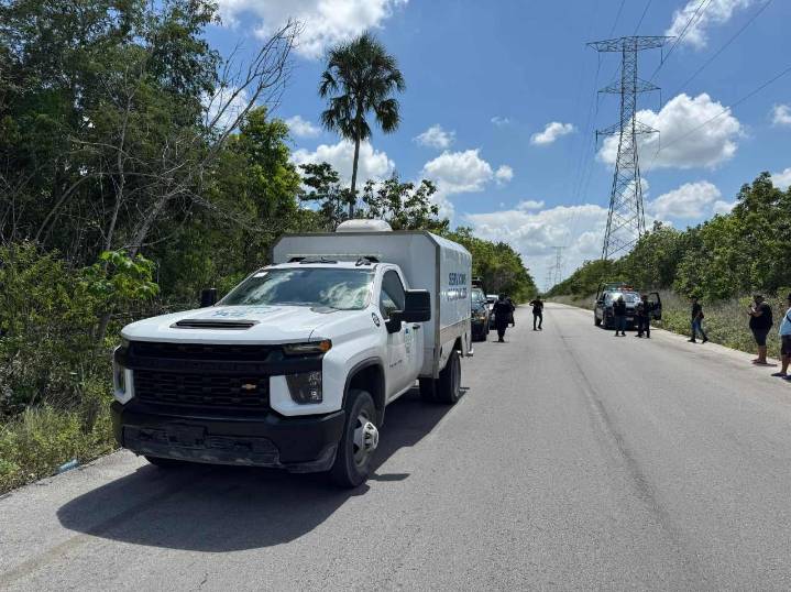 Descubre familia chatarrera restos óseos humanos en las inmediaciones del Arco Vial de Cancún