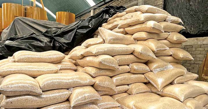 Maíz mexicano cae en picada por importación