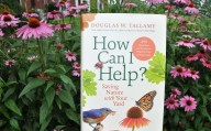 ‘Godfather’ of the native-plant movement answers questions on how to save nature in your backyard
