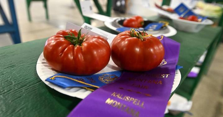 Winners bring home ribbons at Northwest Montana Fair