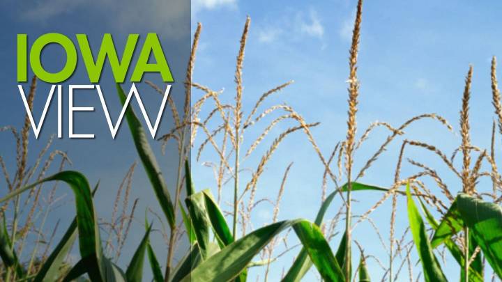 Congress should reauthorize SBIR and support Iowa innovation