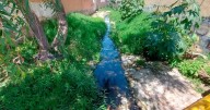"No hay agua negra en canalón de Himalaya"