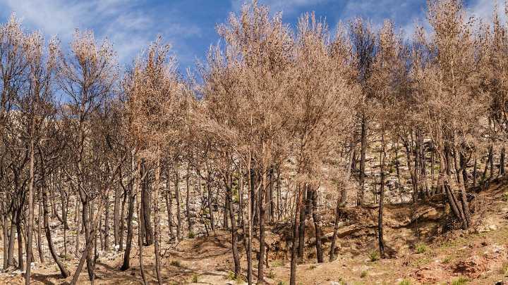 We're within 3 years of reaching a critical climate threshold. Can we reverse course?